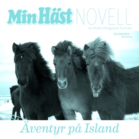 Äventyr på Island (ljudbok) av Kristin Helgesso
