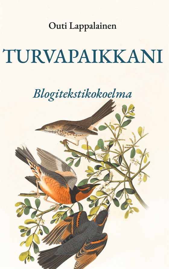Turvapaikkani: Blogitekstikokoelma
