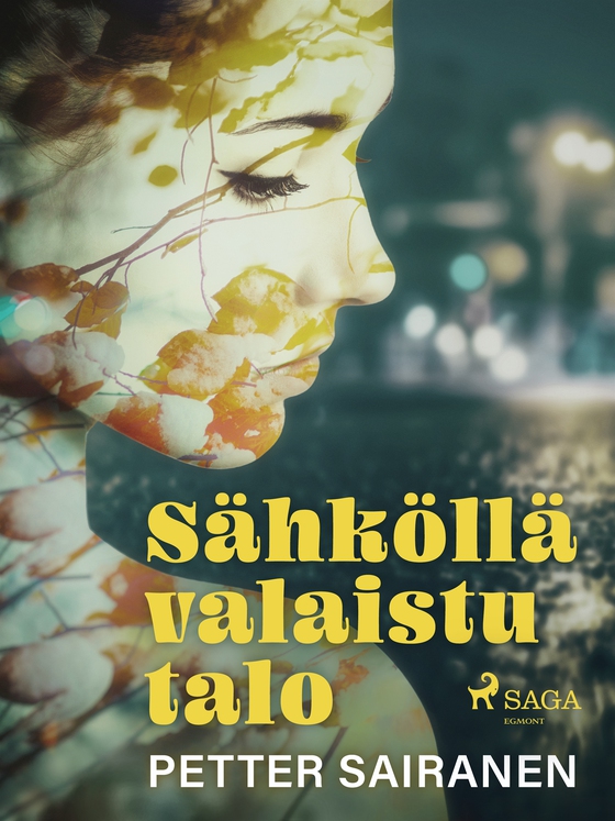 Sähköllä valaistu talo