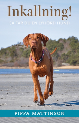 Inkallning! : så får du en lyhörd hund (e-bok) 