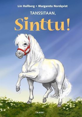 Tanssitaan, Sinttu! (e-bok) av Lin Hallberg