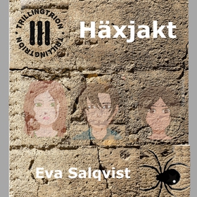 Häxjakt (ljudbok) av Eva Salqvist