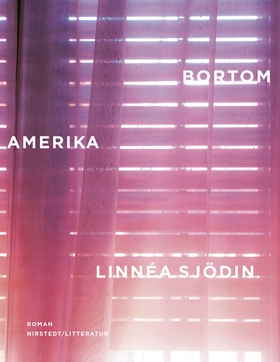 Bortom Amerika (e-bok) av Linnea Sjödin