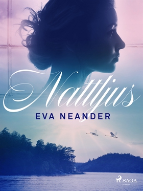 Nattljus (e-bok) av Eva Neander