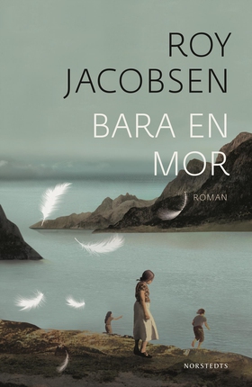 Bara en mor (e-bok) av Roy Jacobsen