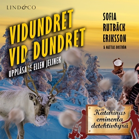Vidundret vid Dundret (ljudbok) av Sofia Rutbäc