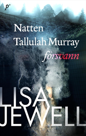 Natten Tallulah Murray försvann (e-bok) av Lisa