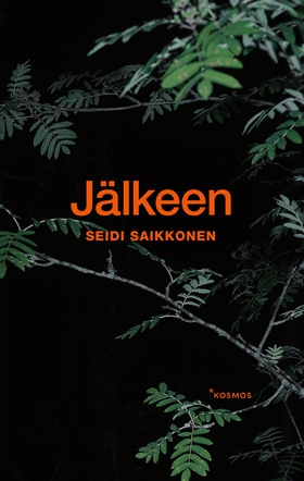 Jälkeen (e-bok) av Seidi Saikkonen