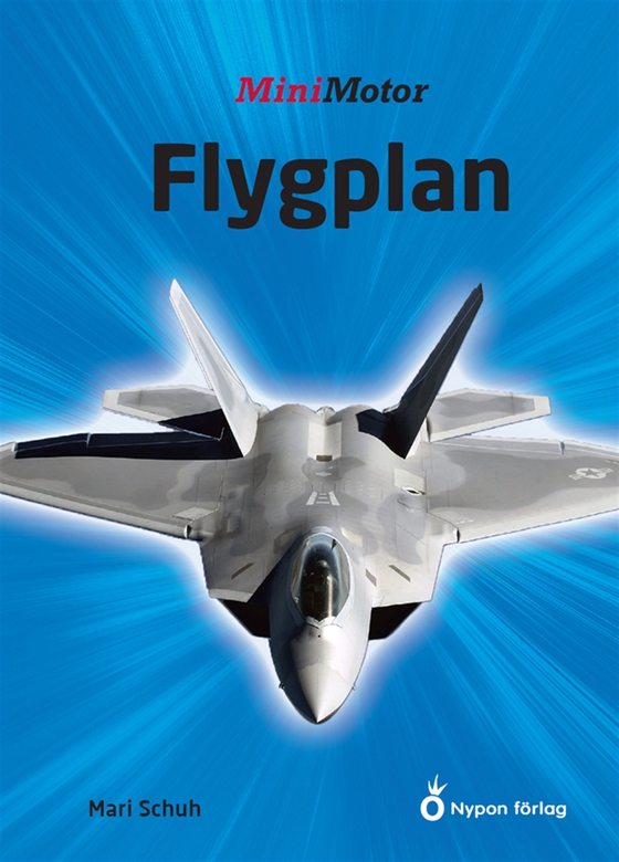 Flygplan