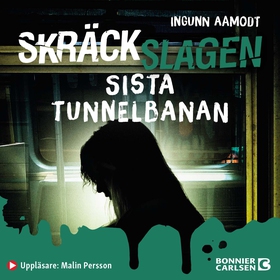 Sista tunnelbanan (ljudbok) av Ingunn Aamodt