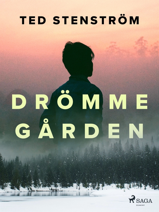 Drömmegården (e-bok) av Ted Stenström