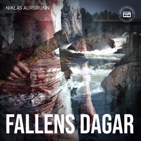 Fallens dagar (ljudbok) av Niklas Aurgrunn