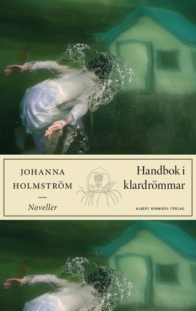 Handbok i klardrömmar (e-bok) av Johanna Holmst