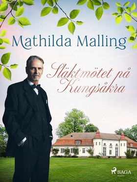 Släktmötet på Kungsåkra (e-bok) av Mathilda Mal