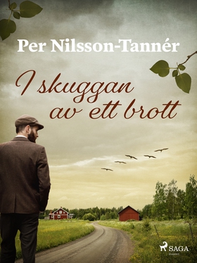 I skuggan av ett brott (e-bok) av Per Nilsson-T