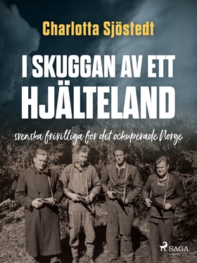 I skuggan av ett hjälteland (e-bok) av Charlott