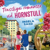 Trassliga romanser vid Hornstull