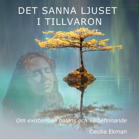 Det sanna ljuset i tillvaron - Om existentiell 