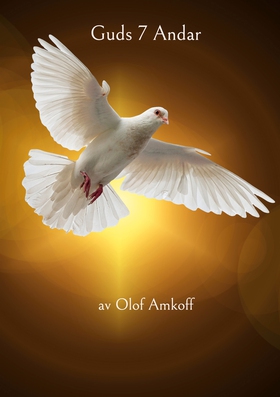 Guds 7 Andar (e-bok) av Olof Amkoff
