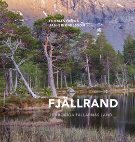 Fjällrand - De krokiga tallarnas land (e-bok) a