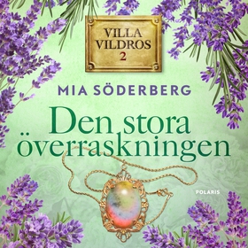 Den stora överraskningen (ljudbok) av Mia Söder