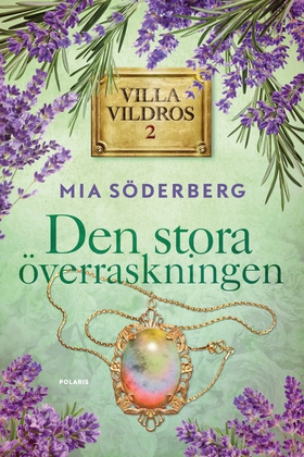 Den stora överraskningen (e-bok) av Mia Söderbe