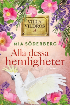 Alla dessa hemligheter (e-bok) av Mia Söderberg