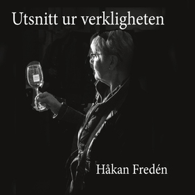 Utsnitt ur verkligheten (e-bok) av Håkan Fredén