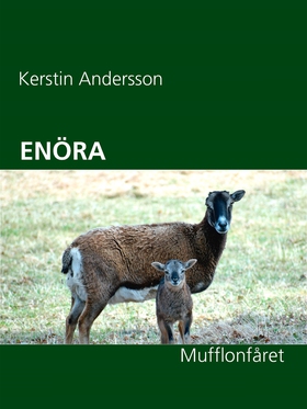 ENÖRA: Mufflonfåret (e-bok) av Kerstin Andersso