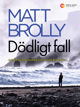 Dödligt fall (e-bok) av Matt Brolly