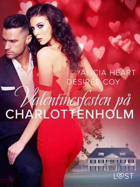Valentinesfesten på Charlottenholm - erotisk no