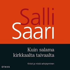 Kuin salama kirkkaalta taivaalta (ljudbok) av S