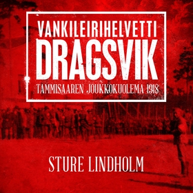 Vankileirihelvetti Dragsvik (ljudbok) av Sture 
