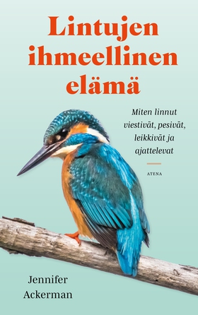 Lintujen ihmeellinen elämä (e-bok) av Jennifer 