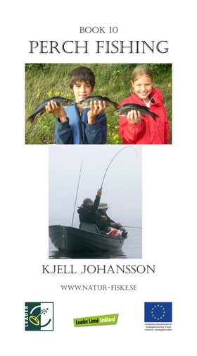 Perch Fishing (e-bok) av Kjell Johansson