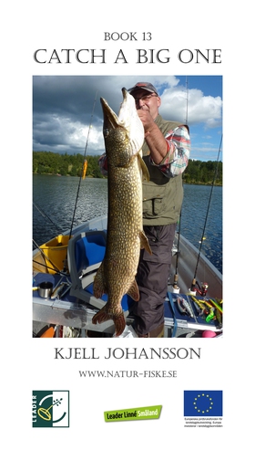Catch a Big One (e-bok) av Kjell Johansson