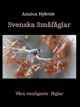 Svenska Småfåglar: våra vanligaste fåglar (e-bo