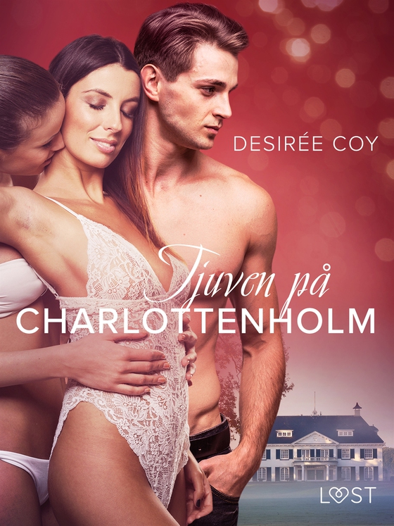 Tjuven på Charlottenholm - erotisk spänningsnovell (e-bok) av Desirée Coy