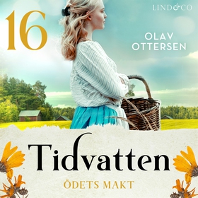 Ödets makt: En släkthistoria (ljudbok) av Olav 