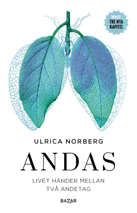 Andas : livet händer mellan två andetag (e-bok)