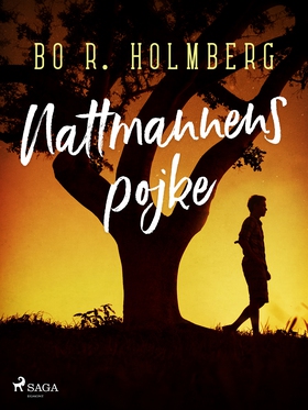 Nattmannens pojke (e-bok) av Bo R. Holmberg