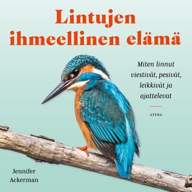 Lintujen ihmeellinen elämä (ljudbok) av Jennife