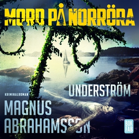 Underström (ljudbok) av Magnus Abrahamsson