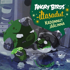 Angry Birds: Kadonnut jäälinna (ljudbok) av Gle