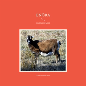 Enöra: I fårhagen (e-bok) av Kerstin Andersson