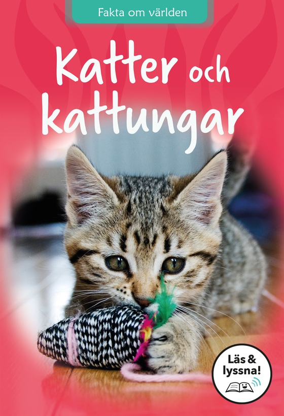 Katter och kattungar