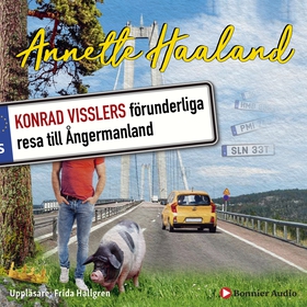 Konrad Visslers förunderliga resa till Ångerman