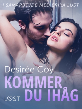 Kommer du ihåg - erotisk novell (e-bok) av Desi
