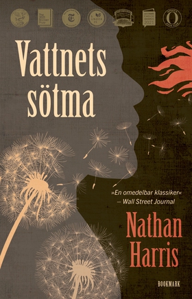 Vattnets sötma (e-bok) av Nathan Harris