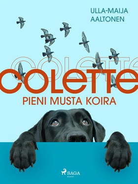 Colette, pieni musta koira (e-bok) av Ulla-Maij